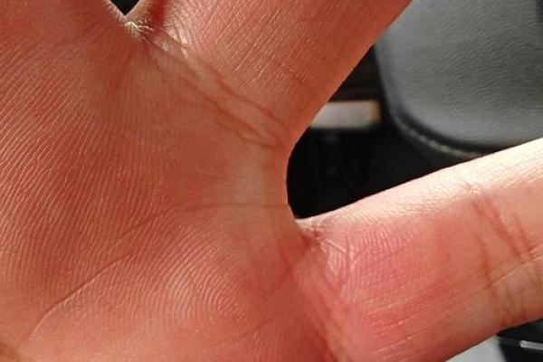 手心有颗树苗,无声的命运之旅与希望的寓意 手心有颗树苗,无声的命运之旅与希望的寓意