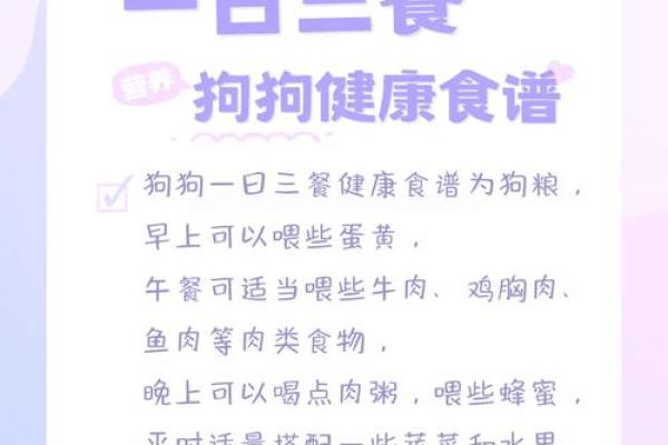 生肖狗牛进食命运分析：食物的奥秘与吉凶运势的联系
