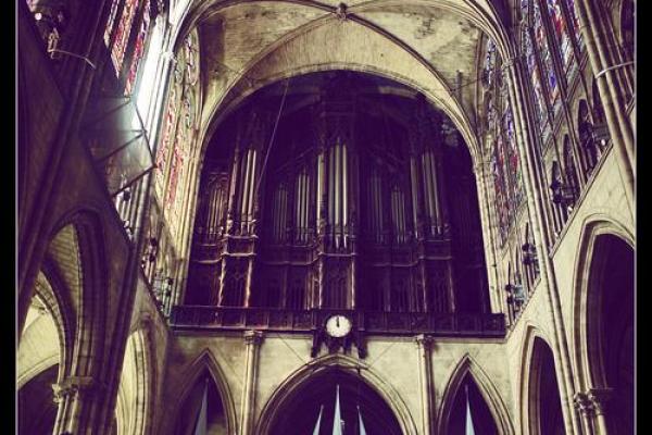 生命的终章：从生命的“命”看终极意义