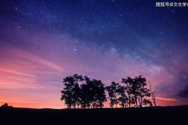 属虎男性命运解析:44岁男性的生命轨迹与发展之道 属虎男性命运解析:44岁男性的生命轨迹与发展之道