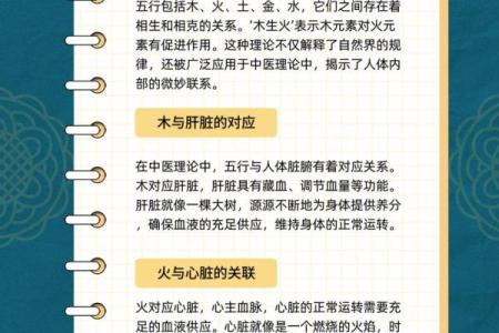木命、水命、火命的独特解读与生活启示