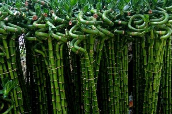 山下火命佩戴物选择：增运转运的秘密武器