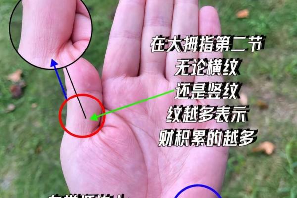 什么样的手纹才能预示男人的财富与命运？