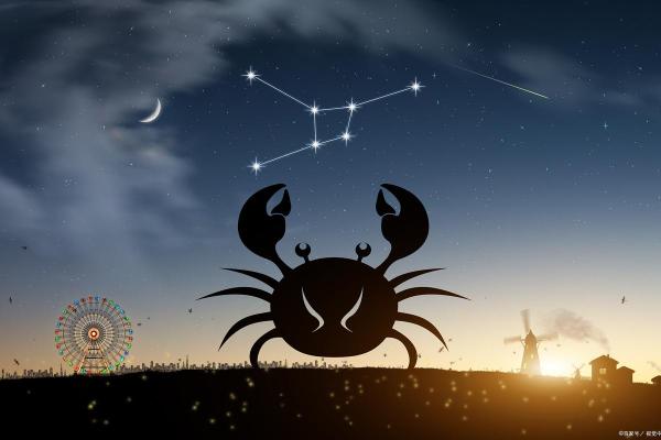 属虎的命星座解析：探索勇敢与独立的星座之旅