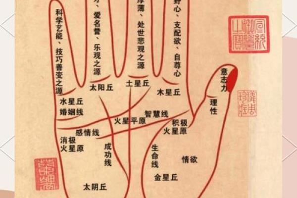 揭秘男命二两九:命运与运势的奥秘 揭秘男命二两九:命运与运势的奥秘