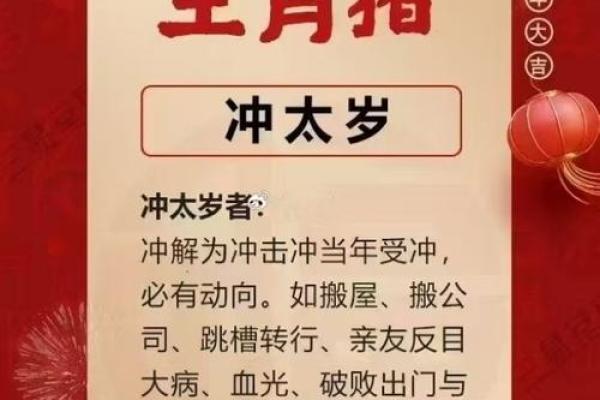 农历十一月猪命解析：象征财富与吉祥的命格