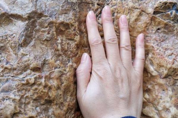 木龙命的神秘力量与生活影响探秘