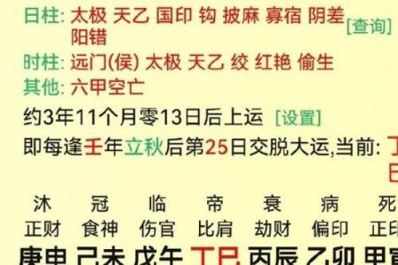 属龙的2月出生者：命理分析与人生启示