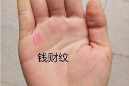 什么样的手纹才能预示男人的财富与命运？