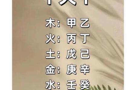 属鸡的腊月二十五生日，命运与性格的深度解析