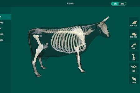 属鸡的羊吃草是什么命？探寻命理的奥秘与智慧