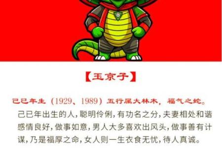 蛇与狗：揭开生肖命理中不为人知的秘密