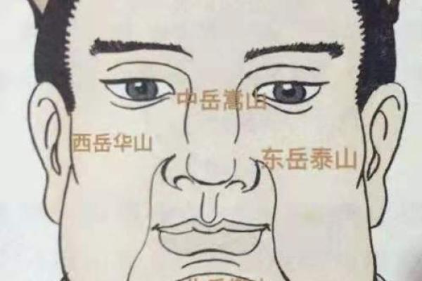 如何看面相,判断一个人是否拥有“条汉子命” 如何看面相,判断一个人是否拥有“条汉子命”