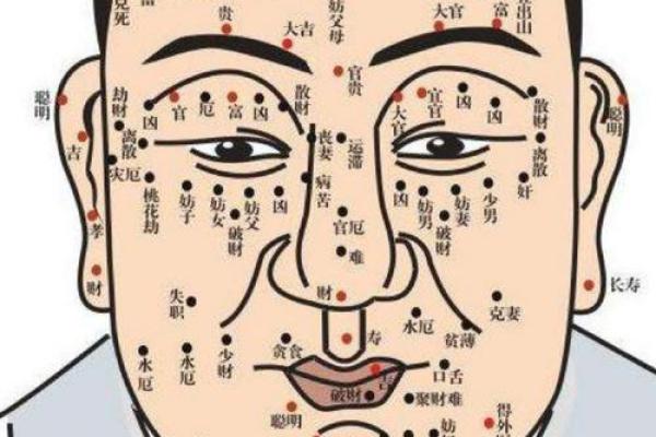 如何看面相,判断一个人是否拥有“条汉子命” 如何看面相,判断一个人是否拥有“条汉子命”