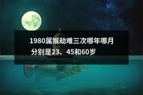 属猴1980年出生的命运与性格解析 属猴1980年出生的命运与性格解析