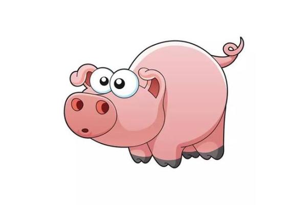 属猪大海水命的生肖解析与人生指南