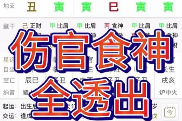 揭示师爷命格:八字解析与人生智慧的结合 揭示师爷命格:八字解析与人生智慧的结合