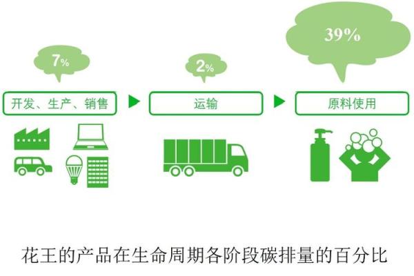 深入解读二氧化碳生命周期及其对环境的影响