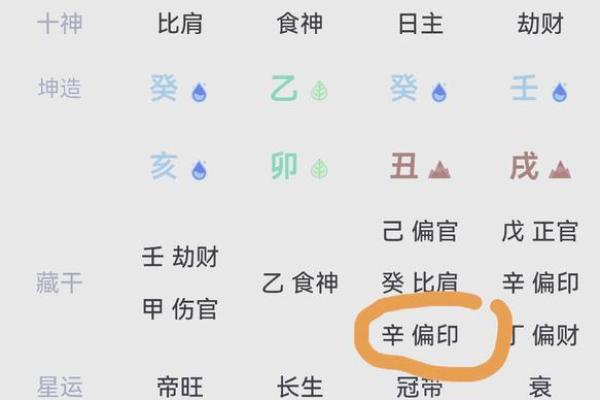 属马人的命理特点与八字解析:揭示你的命运密码 属马人的命理特点与八字解析:揭示你的命运密码