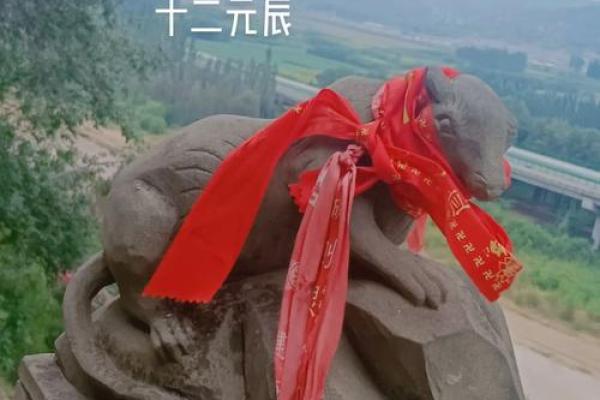 属虎属兔的命理解析：出生时辰如何影响人生？