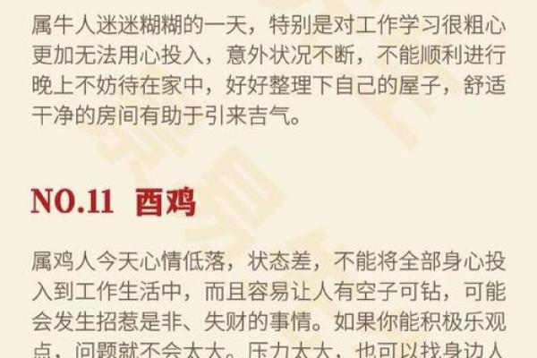 属虎属兔的命理解析：出生时辰如何影响人生？