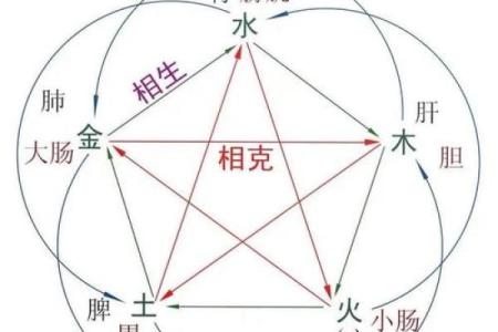 石榴木命人与五行相生相克的奇妙缘分