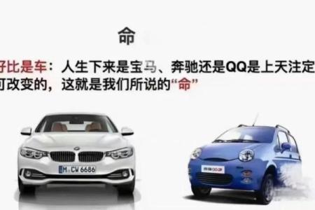 属猴金命者适合开什么颜色的车？解密最佳选择！