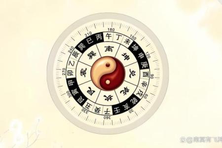 什么都不缺的屋上土命，如何找到生活的平衡与幸福？