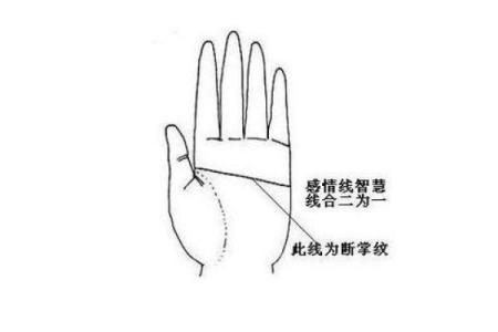 手指细长的男人命运解析：指尖上的人生密码