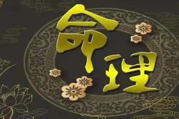 揭开东子命与西子命的神秘面纱,探寻命理奥秘与人生智慧 揭开东子命与西子命的神秘面纱,探寻命理奥秘与人生智慧