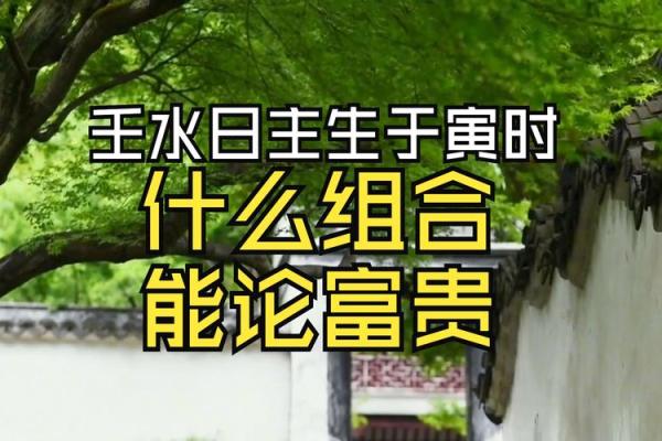 壬寅年忌水的人命运揭秘:如何巧妙应对人生挑战 壬寅年忌水的人命运揭秘:如何巧妙应对人生挑战