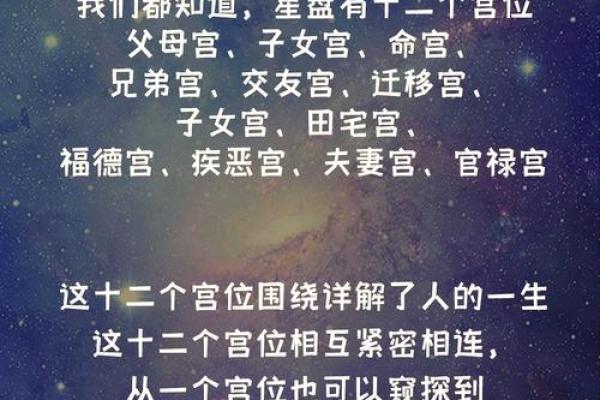 属什么才是命好的人：揭秘命运的神秘面纱