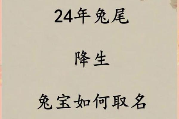 属兔2024年2月五行分析：揭示兔年的运势密码与人生选择