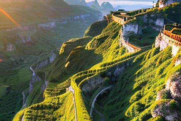 属金命的最佳居住方位:探寻风水秘诀与生活智慧 属金命的最佳居住方位:探寻风水秘诀与生活智慧