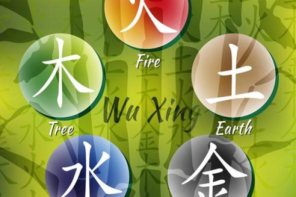 木命与其他命格的最佳搭配，寻找属于你的命中注定！