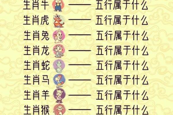 属马的人拥有怎样的命运，命理揭秘与生辰八字分析！