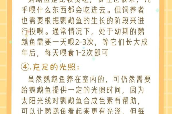 属狗水命人最适合养的鱼类解析与推荐 属狗水命人最适合养的鱼类解析与推荐