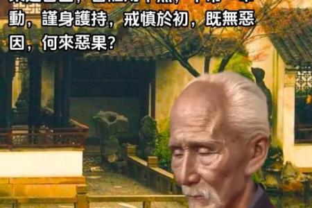 什么样的人适合成为和尚：内心修行的探索与选择