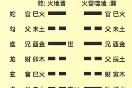 解密八字：透视天机命局的奥秘与智慧