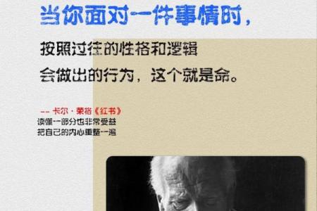 属什么才是命好的人：揭秘命运的神秘面纱