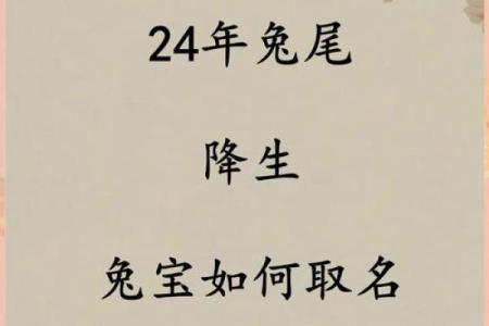 属兔2024年2月五行分析：揭示兔年的运势密码与人生选择