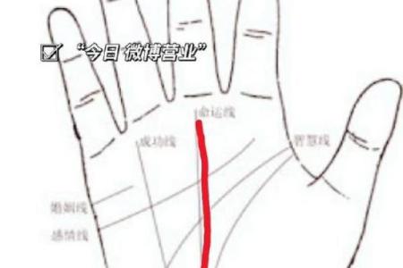 手掌纹理揭秘：少字手相与命运的深层联系