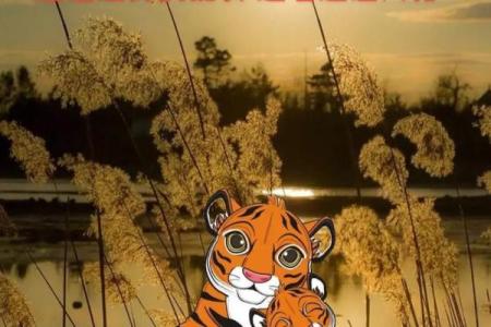 生肖虎女的畏惧与命运：她们最怕的是什么？