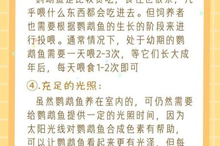 属狗水命人最适合养的鱼类解析与推荐