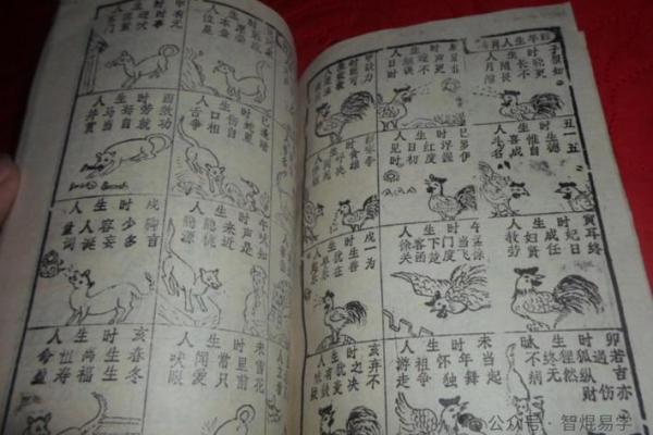 揭开四月初二属猪人的命运密码：探寻他们的生活与性格特点