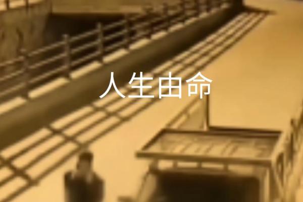 梦与命：探寻人生的深层意义与启示