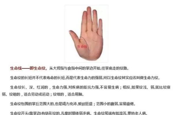 手纹密码：揭示你命运的秘密，解读多条掌纹的深意！