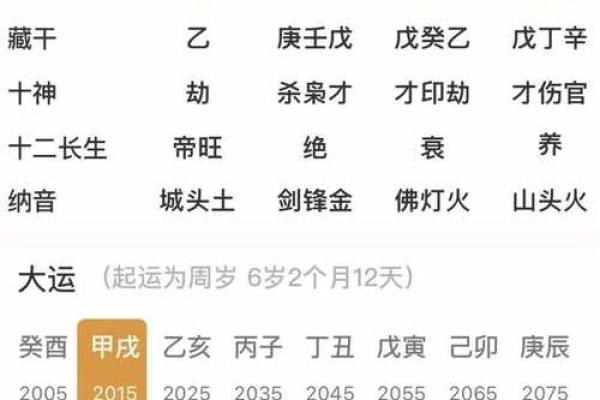 女命甲辰日，命理解析及人生启示