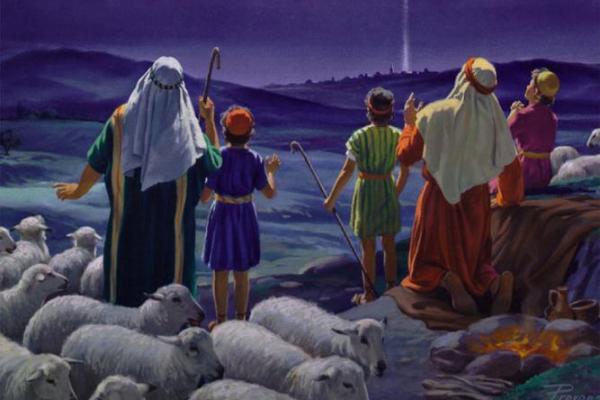 属虎61岁的人生旅程：智慧与蜕变的奇妙故事