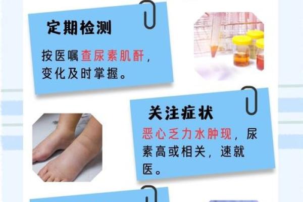 尿素超标对身体的影响与调节方法探秘